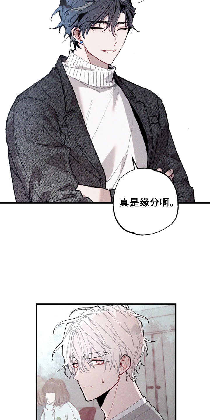 第5章：注视
