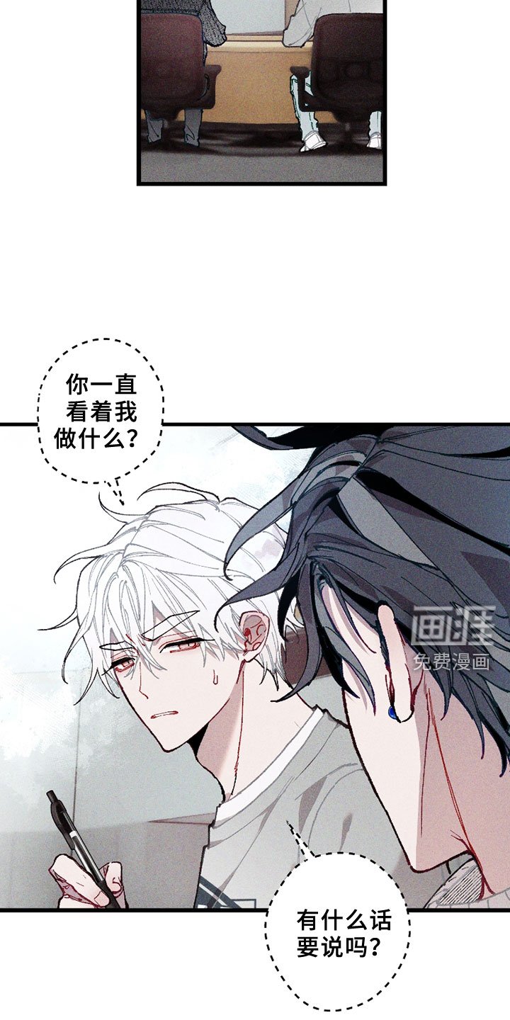 第5章：注视