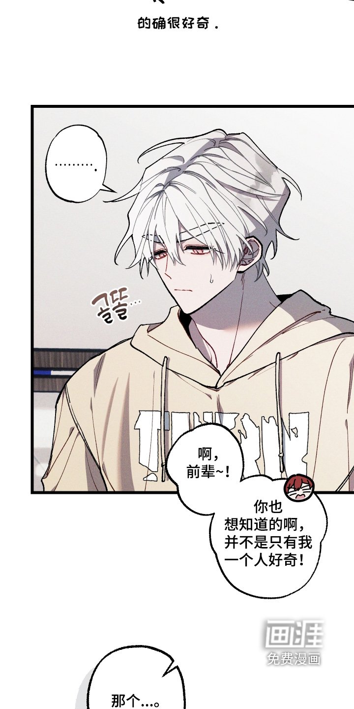 第50章：突然联络