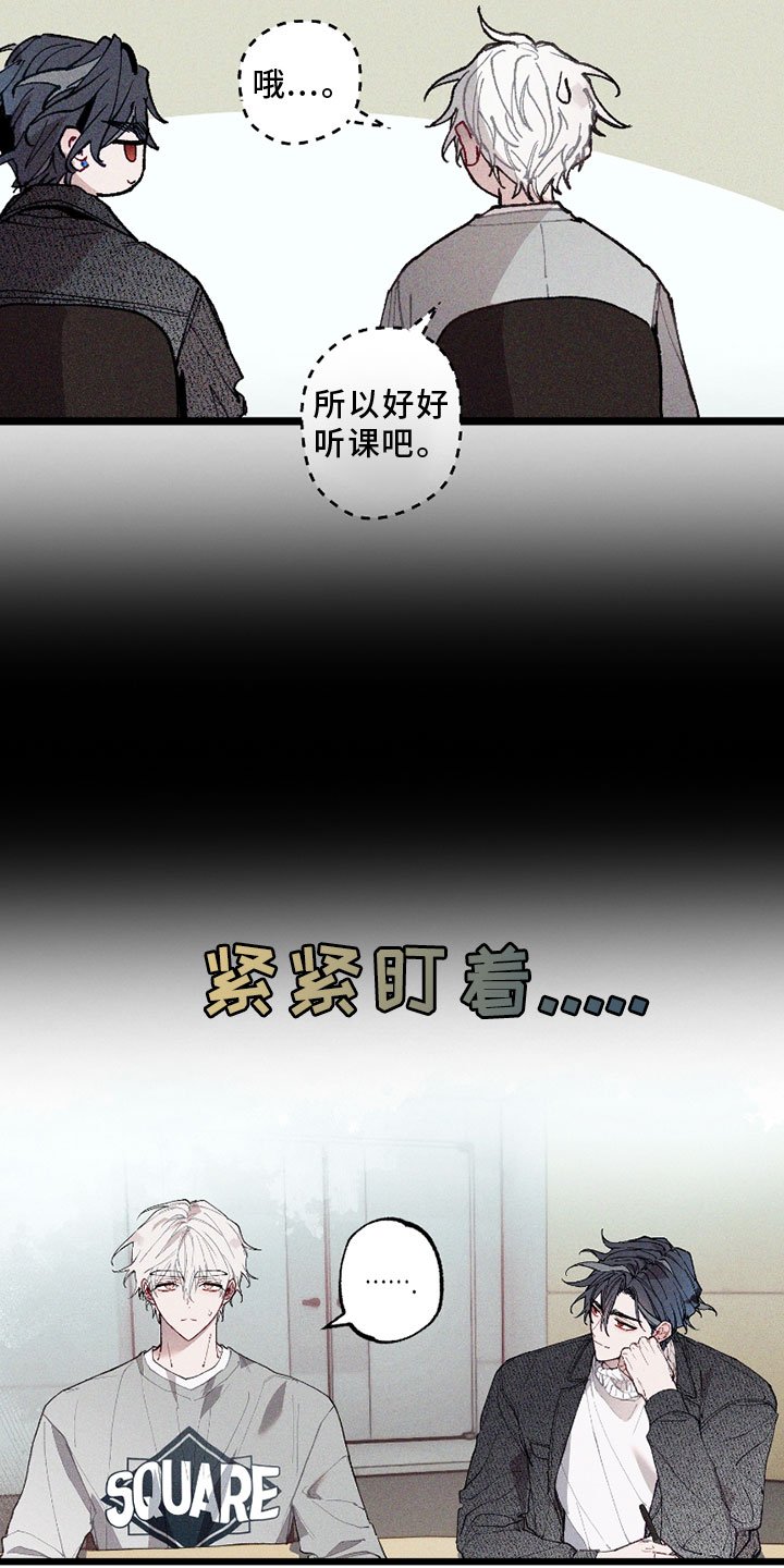 第6章：挡箭牌