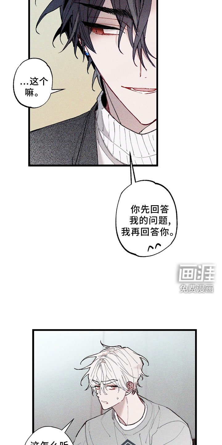 第6章：挡箭牌