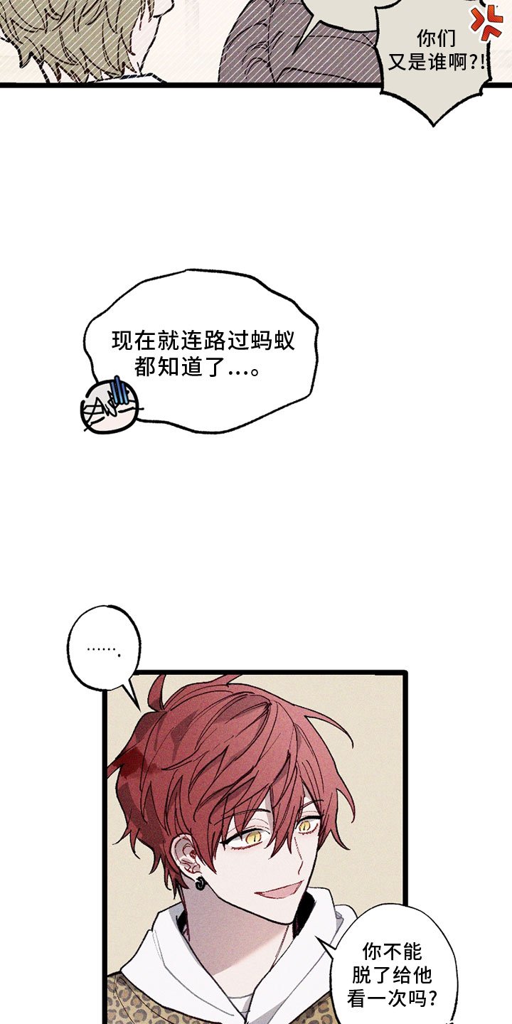 第7章：争论