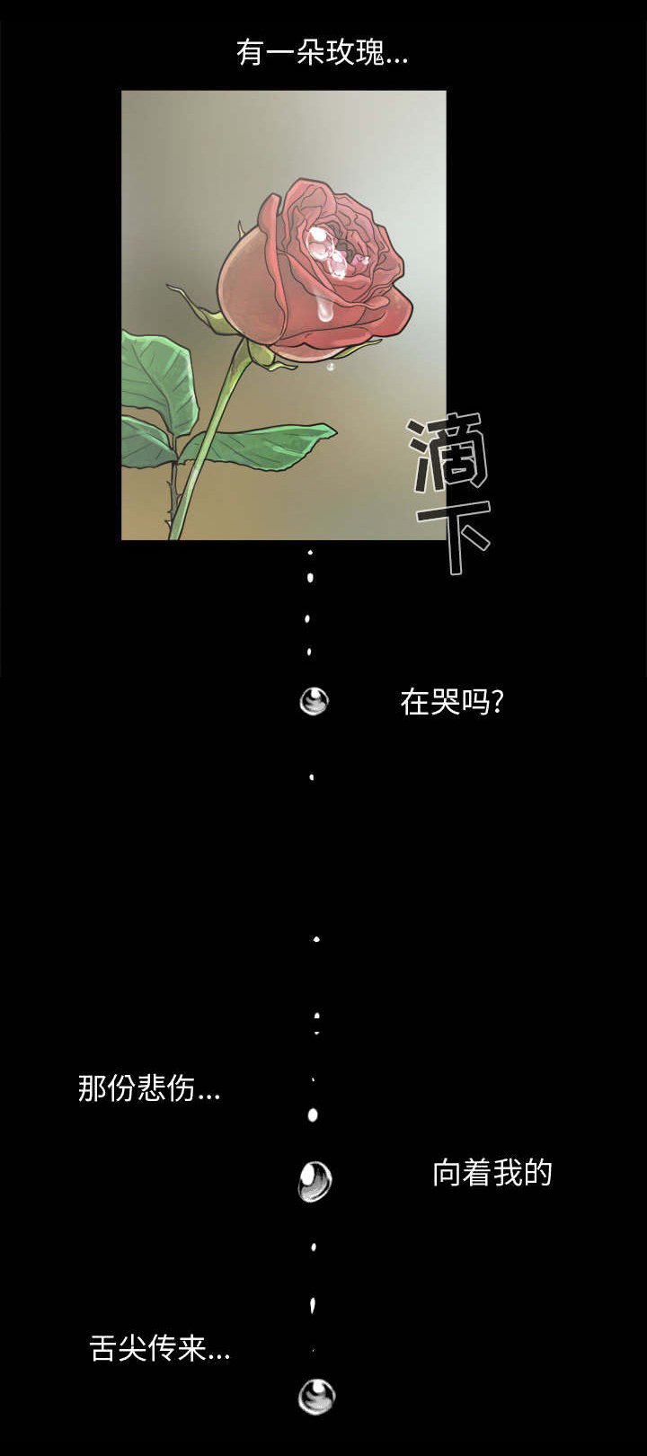 第9章：捷足先登