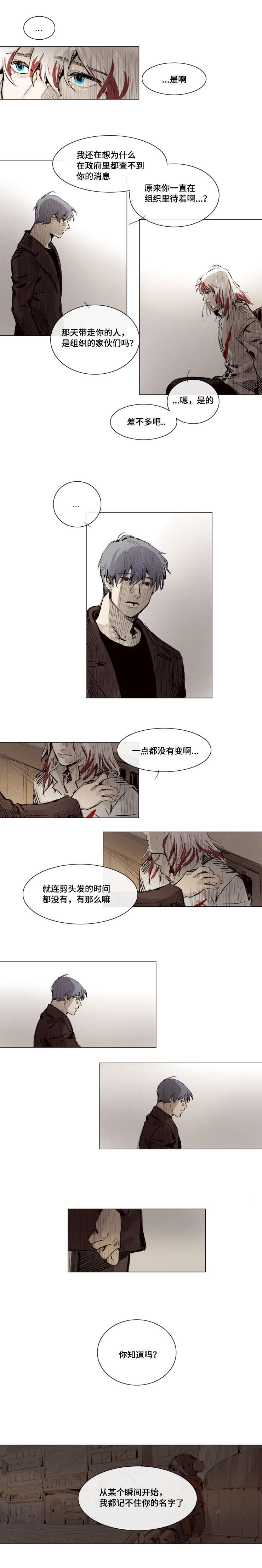 第11章：你这是在做什么