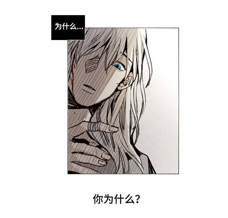 第17章：登场