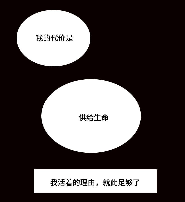 第26章：我的代价