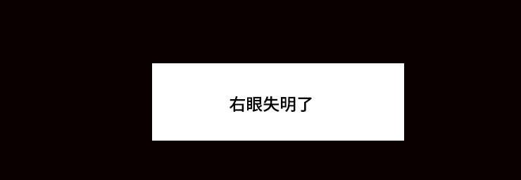 第29章：右眼失明