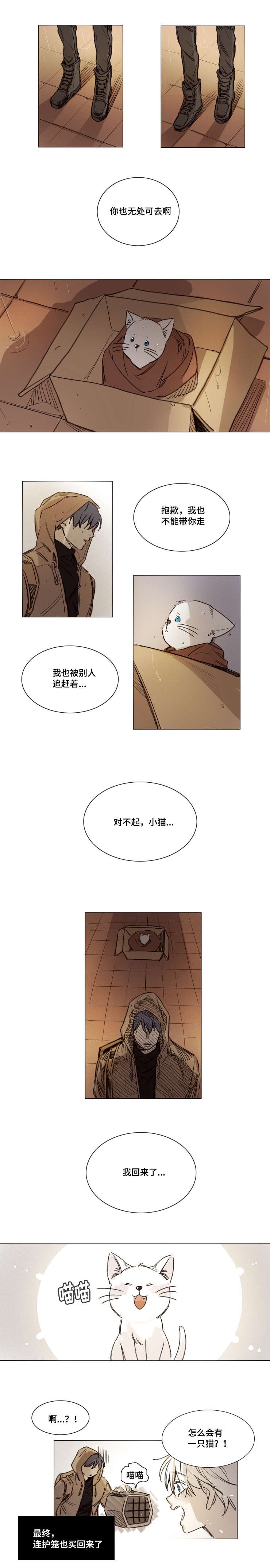 第33章：相片