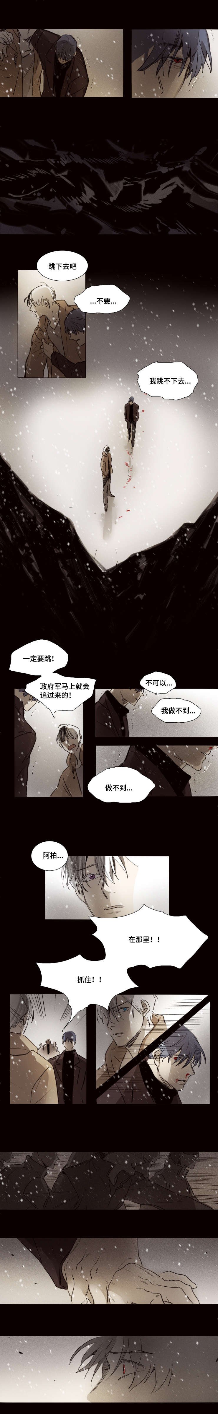 第41章：垂危
