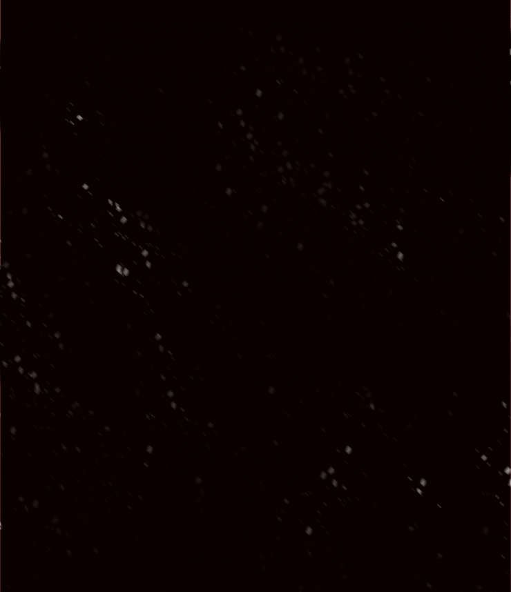 第45章：拥抱风雪中