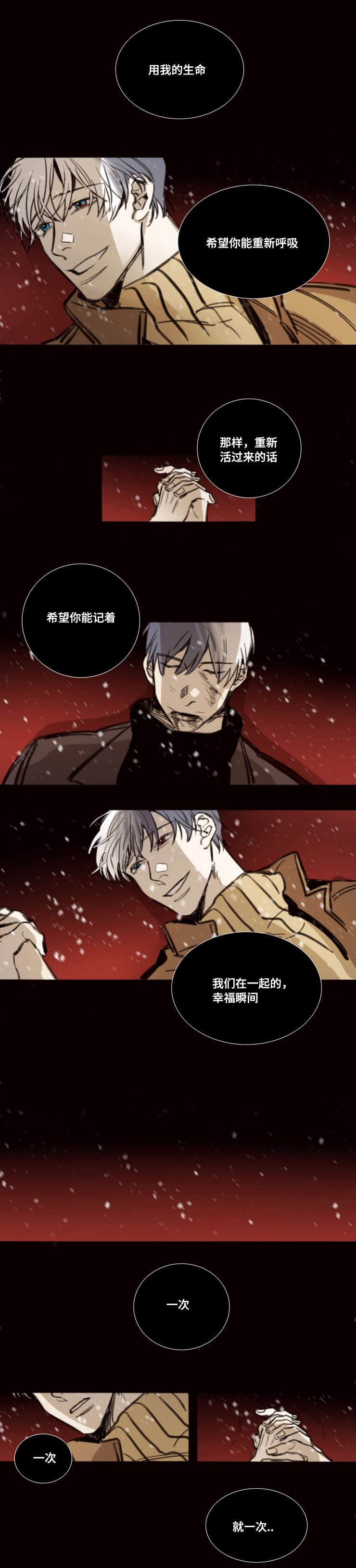 第49章：熄灭的生命之火