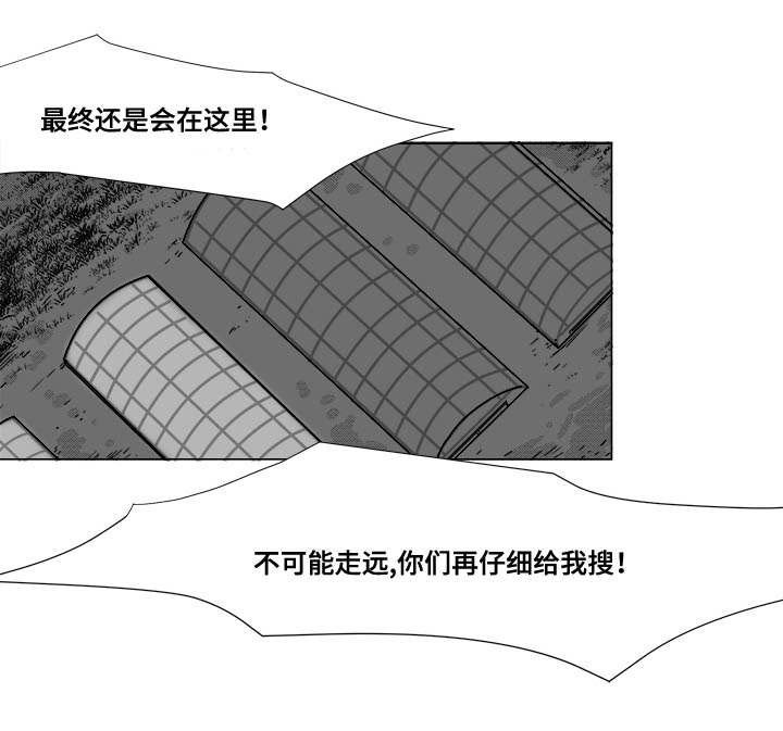 第25章：赶紧上来