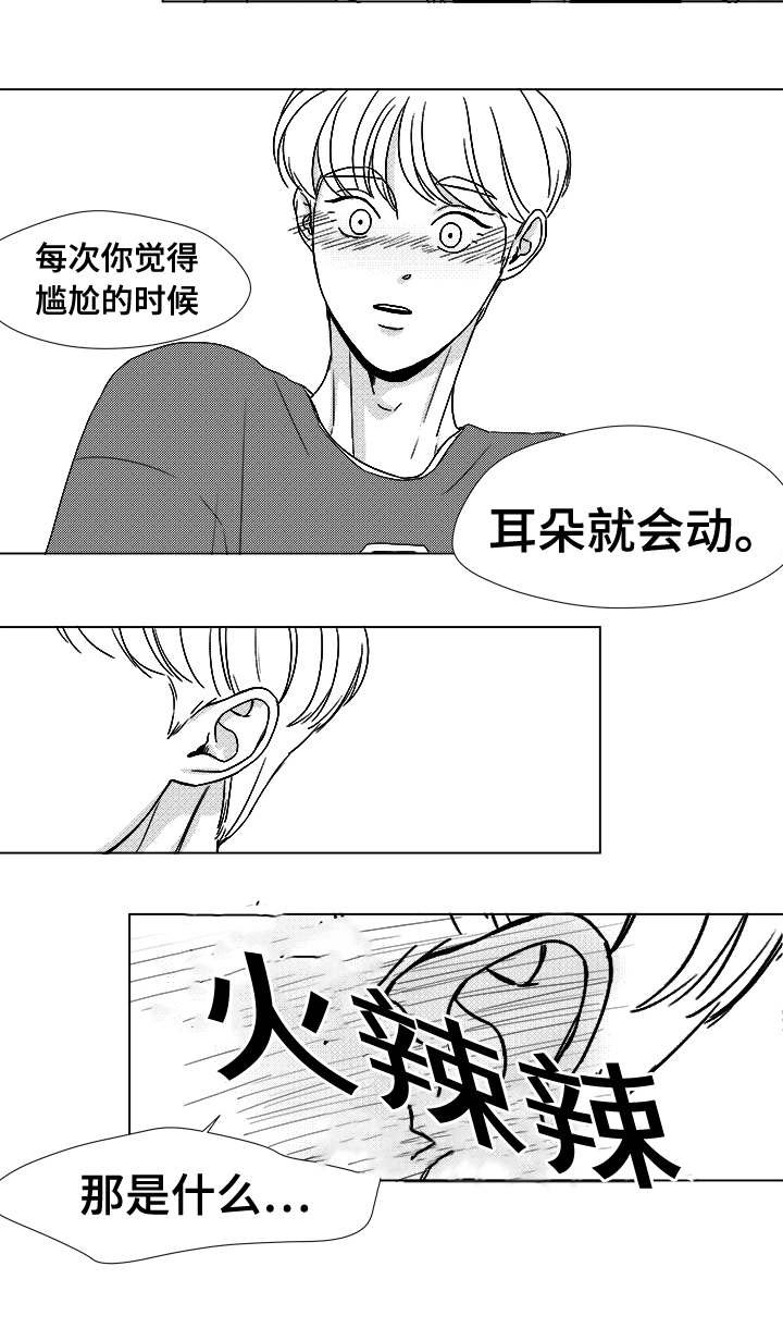 第41章：误会