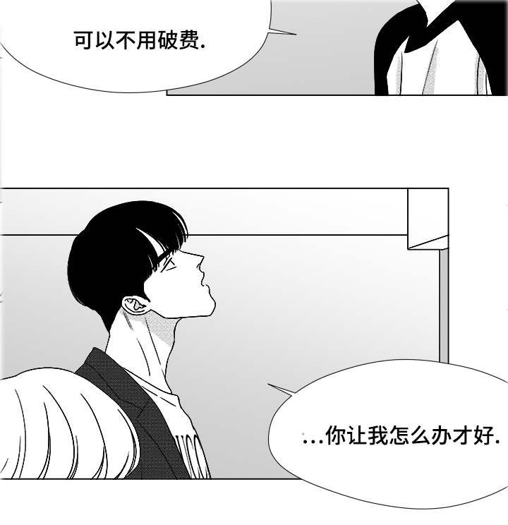 第52章：你让我怎么办才好