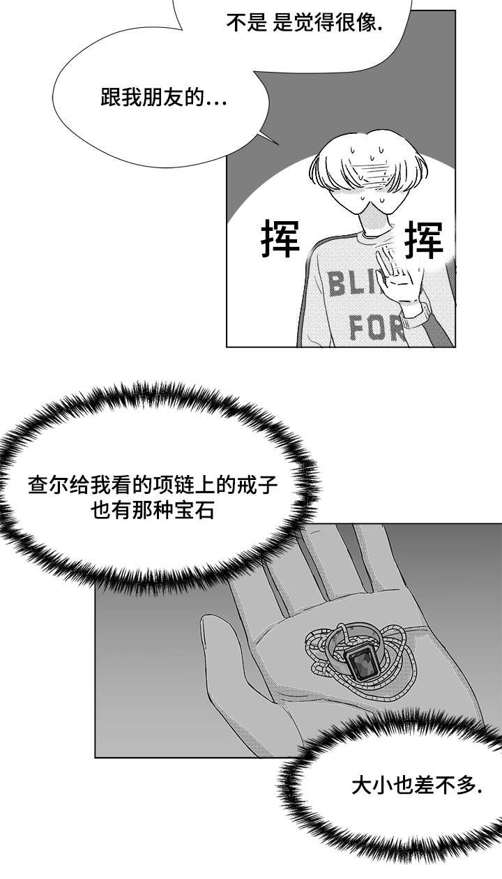 第61章：相像的宝石
