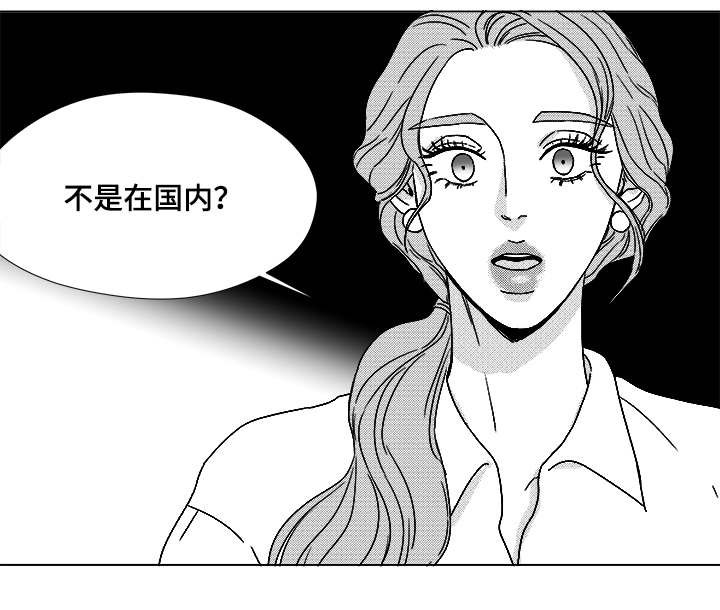 第61章：相像的宝石
