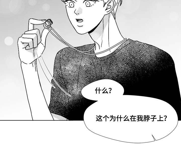 第74章：项链