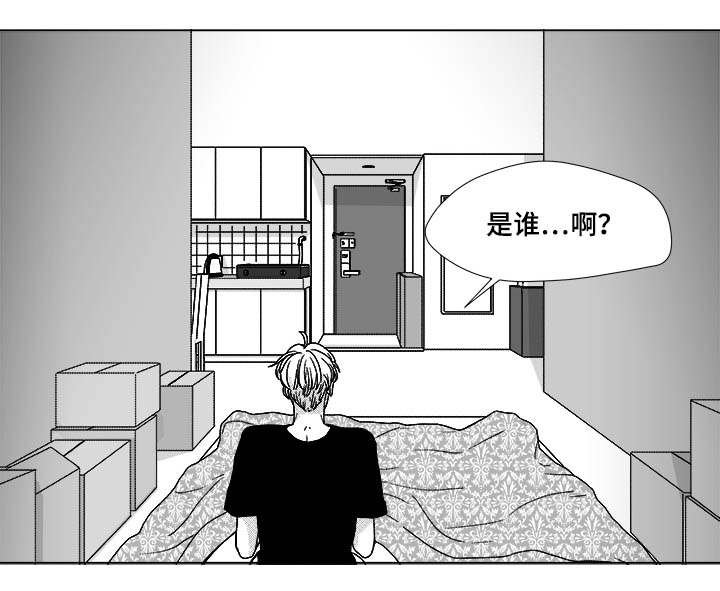 第75章：来信息了