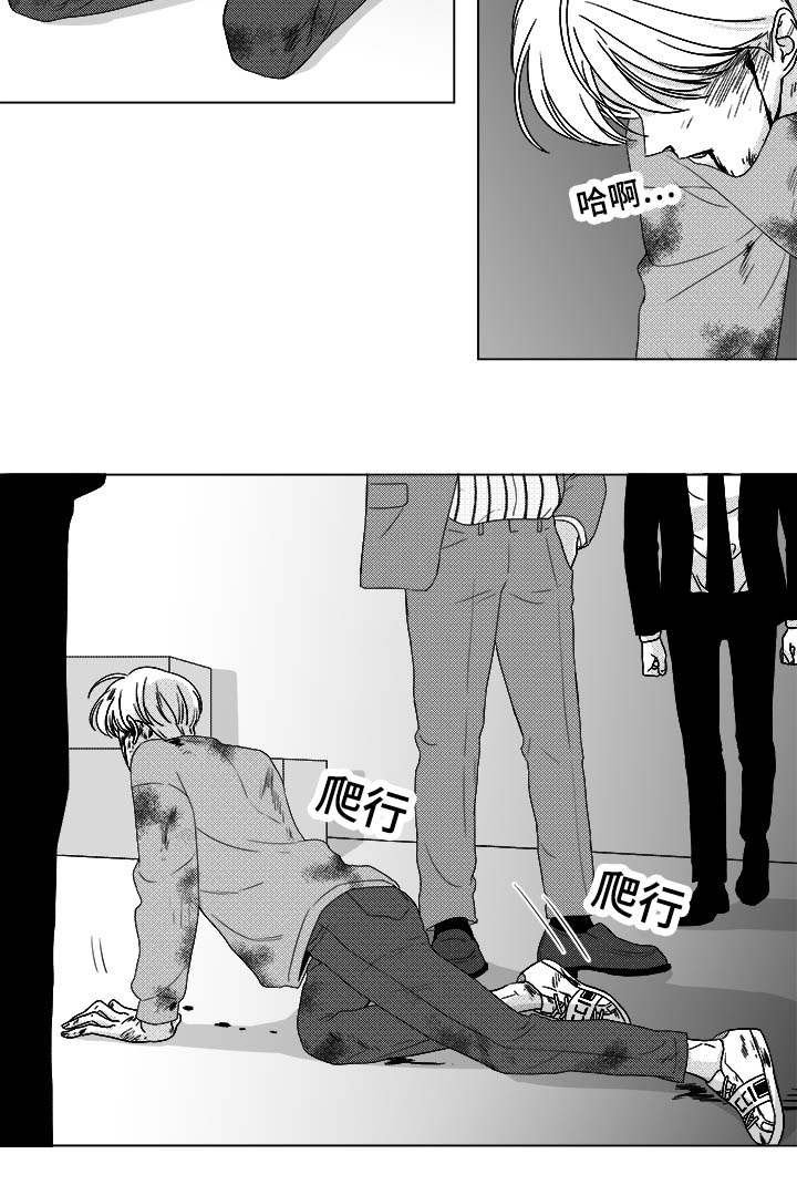 第81章：看到你就可以了