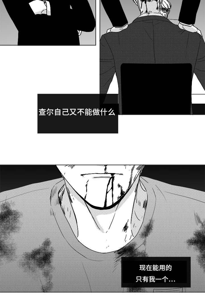 第82章：开牌