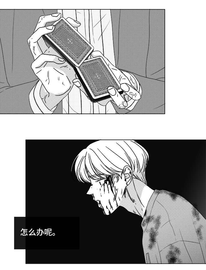 第82章：开牌
