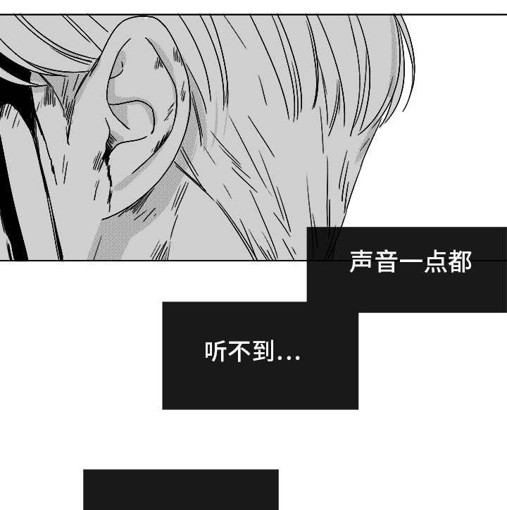 第82章：开牌