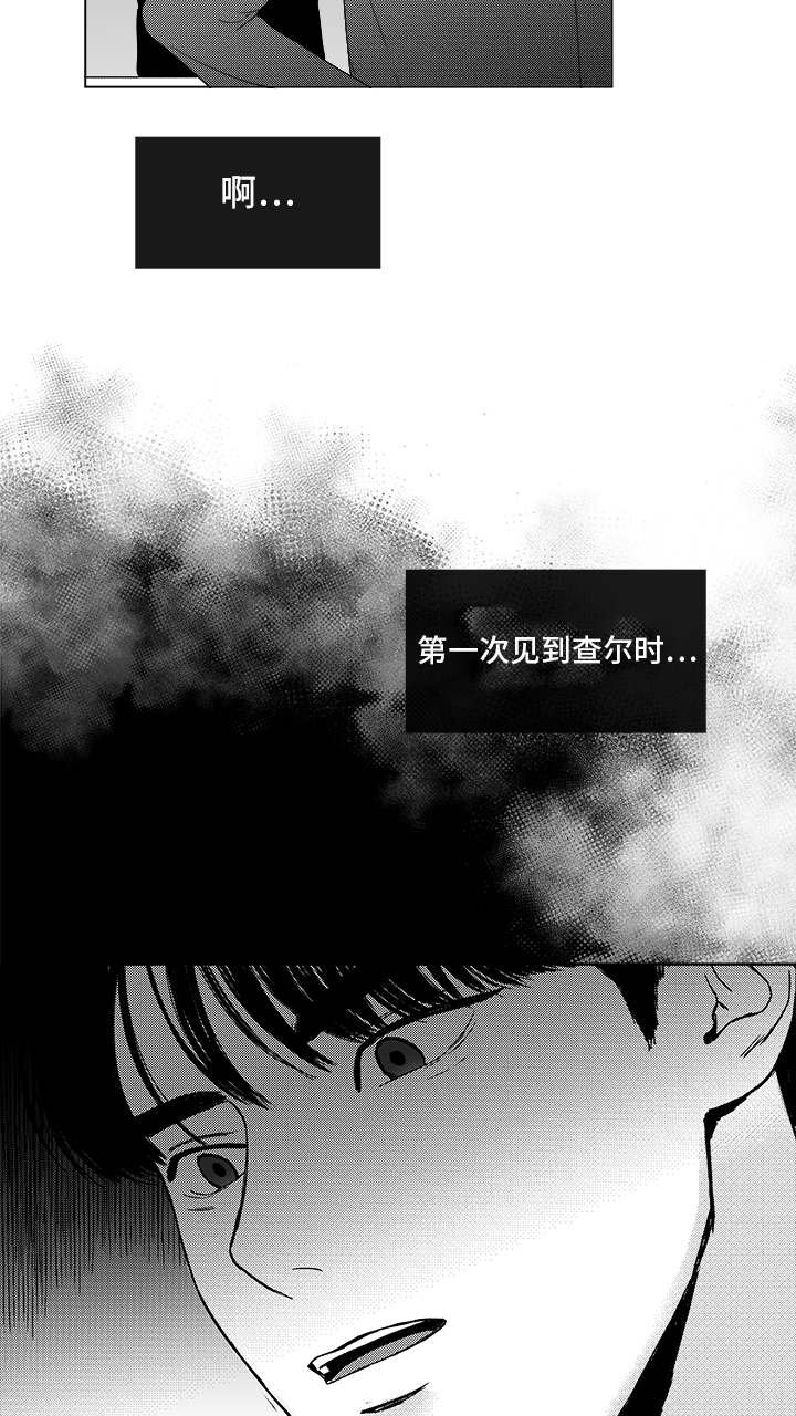 第82章：开牌