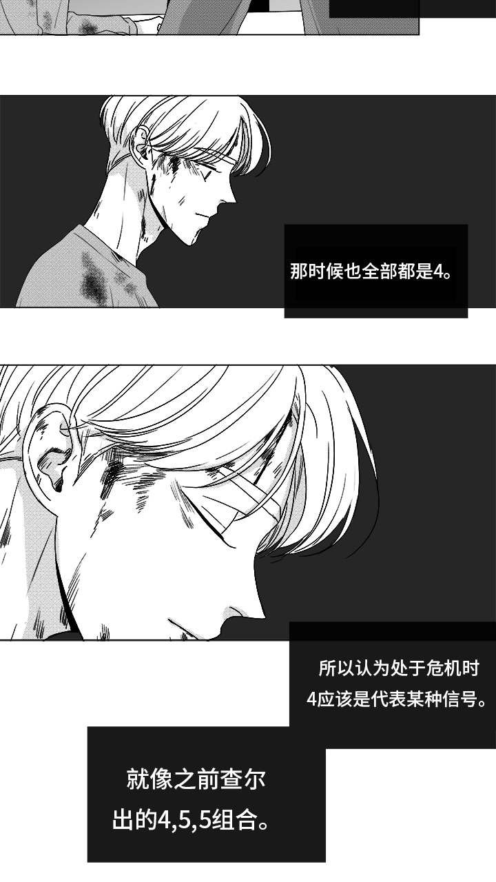 第82章：开牌