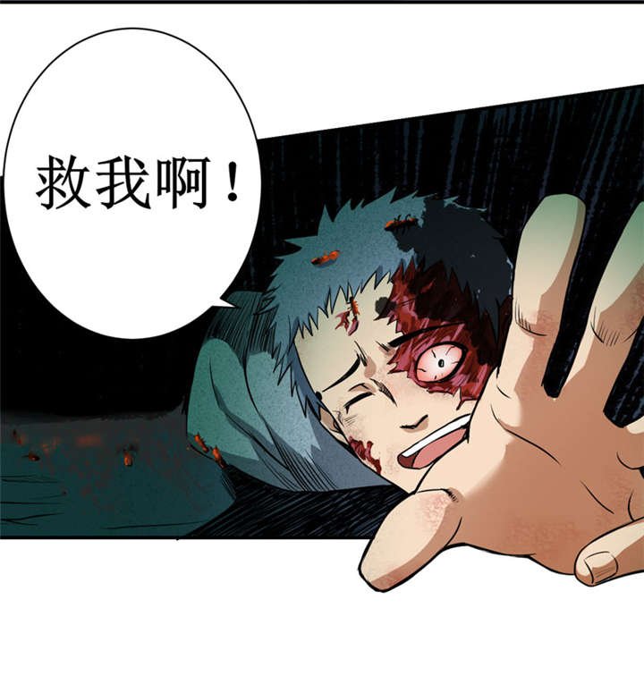 第12章：蚂蚁来了，快跑！