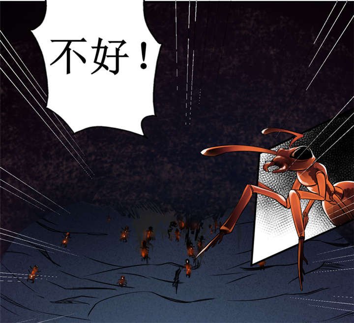 第12章：蚂蚁来了，快跑！