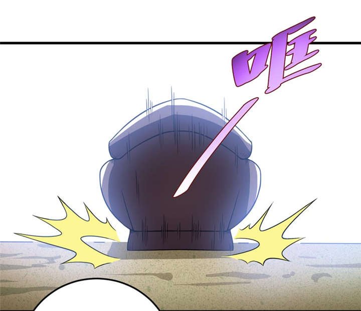 第29章：自投罗网（上）