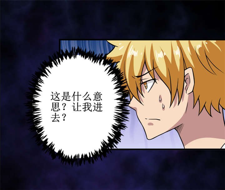 第29章：自投罗网（上）