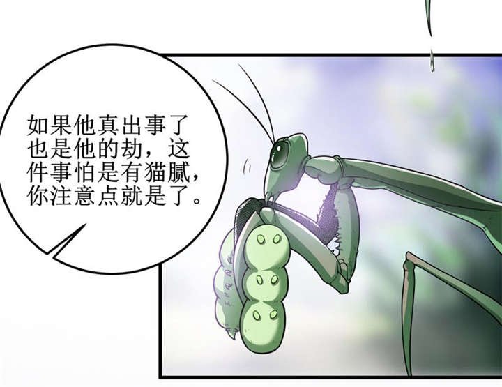 第31章：修鬼道