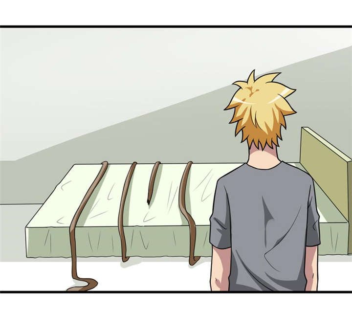 第37章：交易