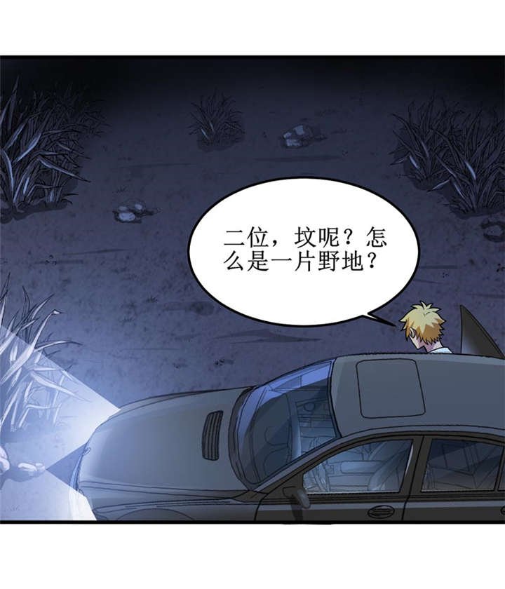 第41章：盗墓？