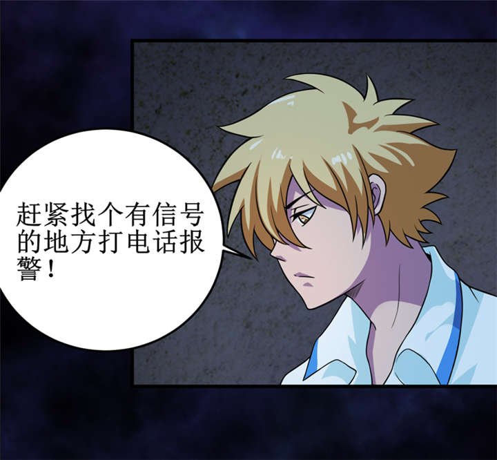 第41章：盗墓？