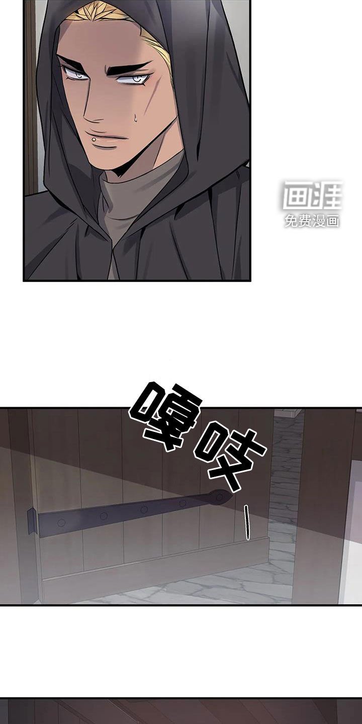 第100章：【第二季】他是我的