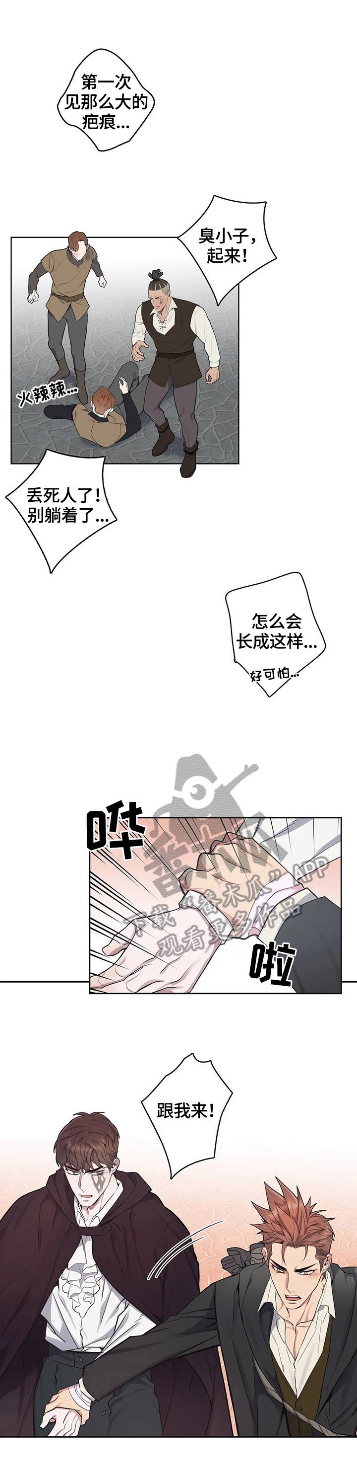 第29章：买包