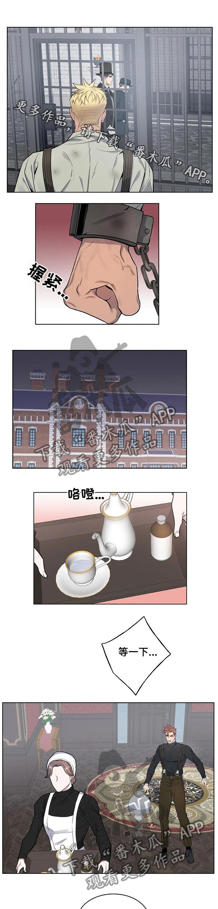 第53章：用药