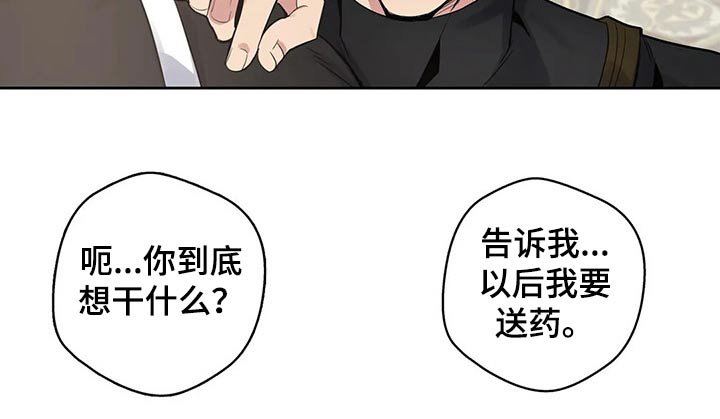 第53章：用药