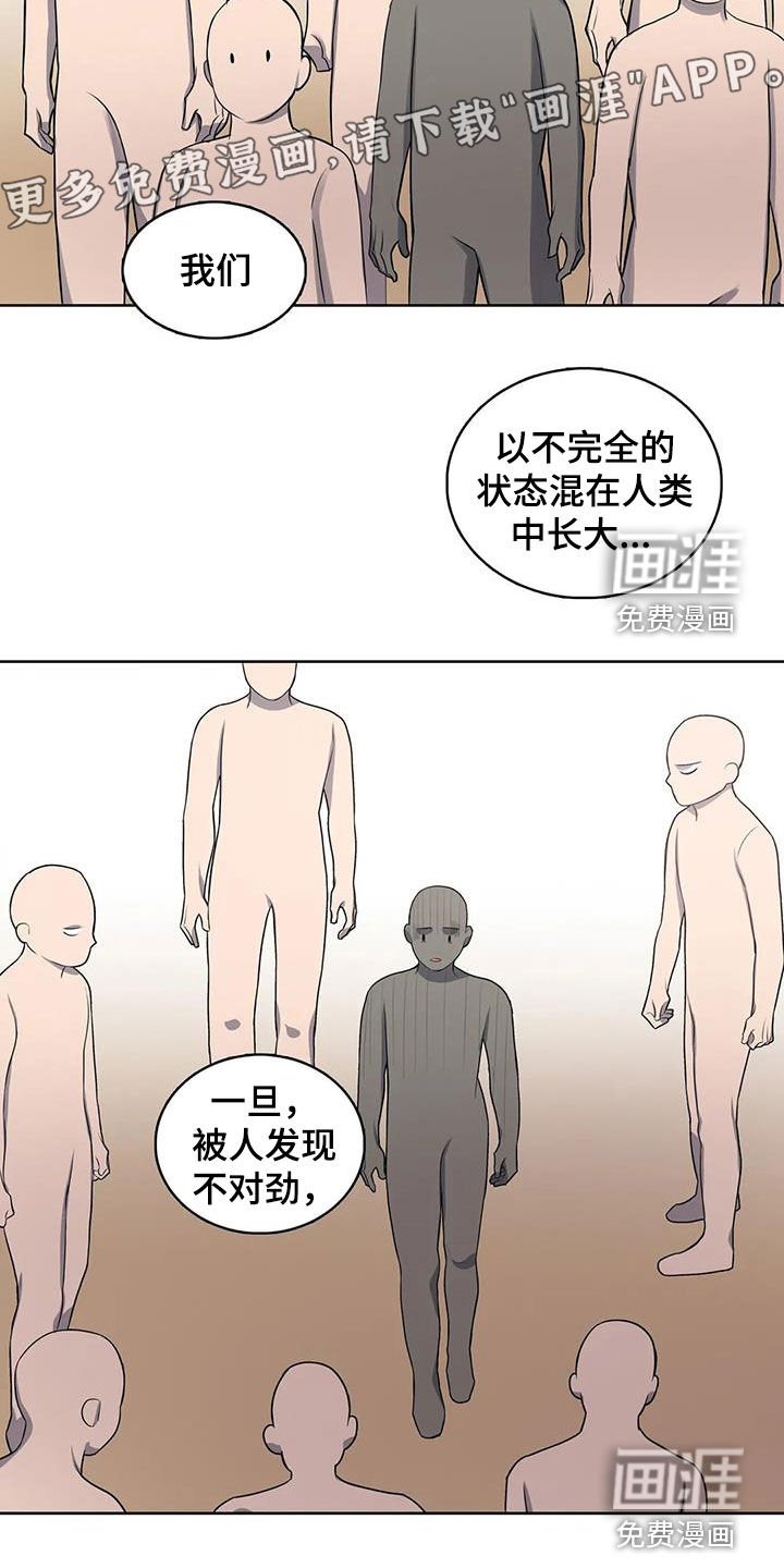 第96章：【第二季】分化