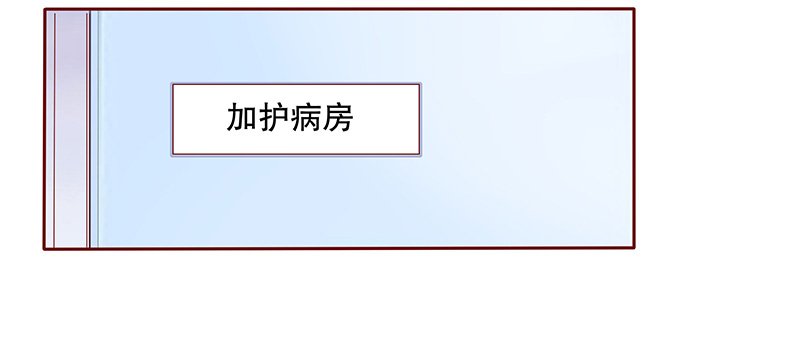 第81章：森森的希望