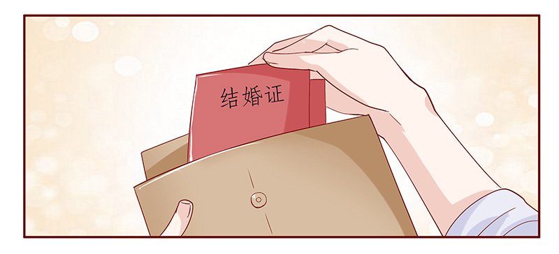 第87章：结婚的文件