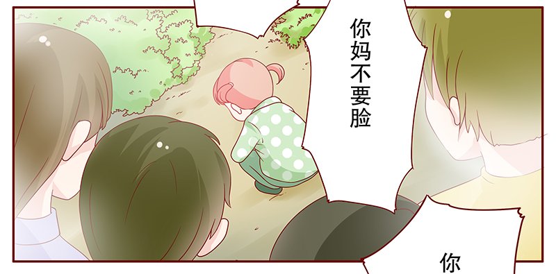 第97章：叶家的私生女