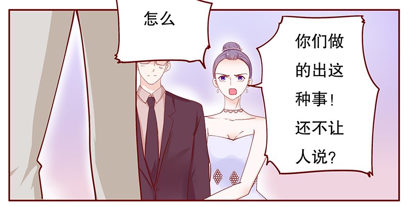 第97章：叶家的私生女