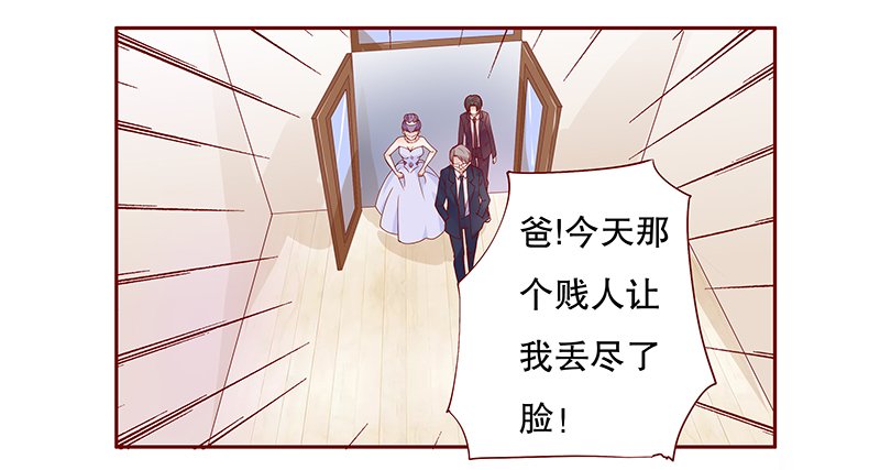 第97章：叶家的私生女