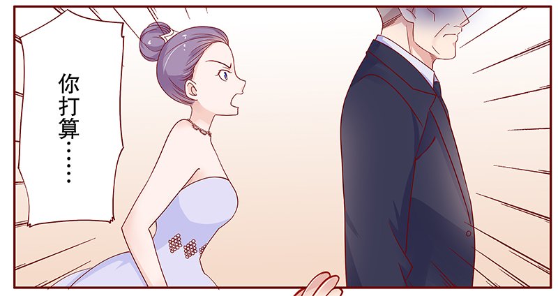第97章：叶家的私生女