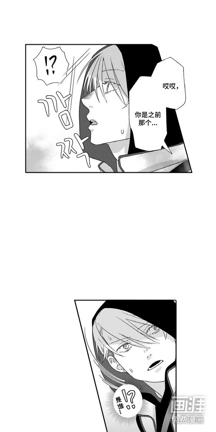 第13章：偶遇