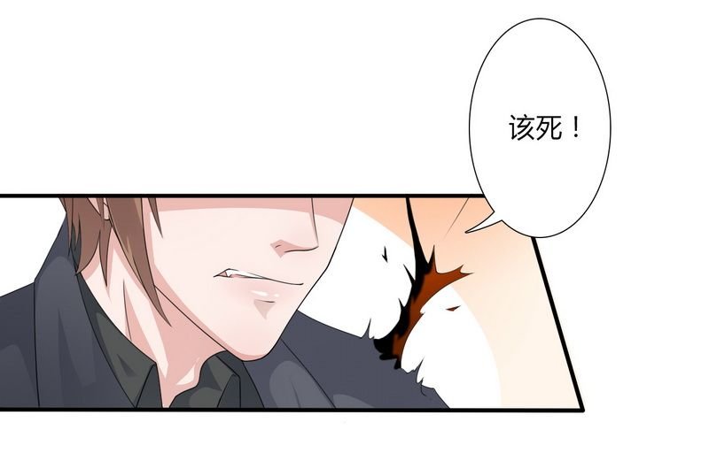 第19章：有我保护你