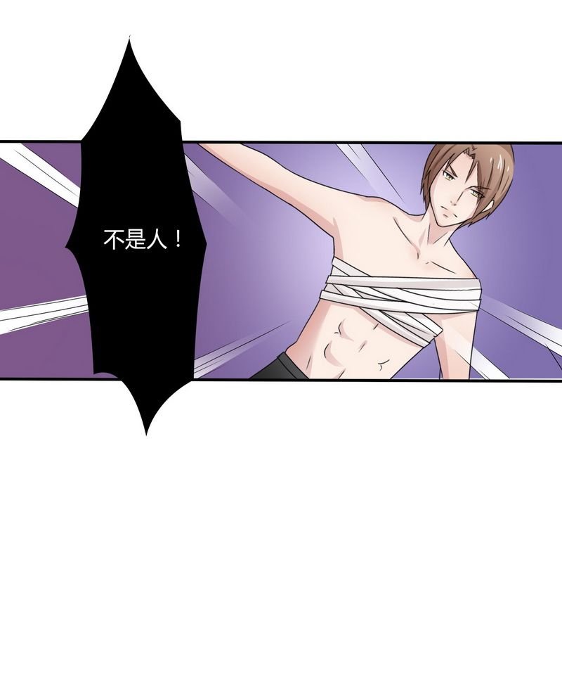 第20章：恶魔总裁